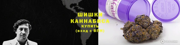 крисы Пестово
