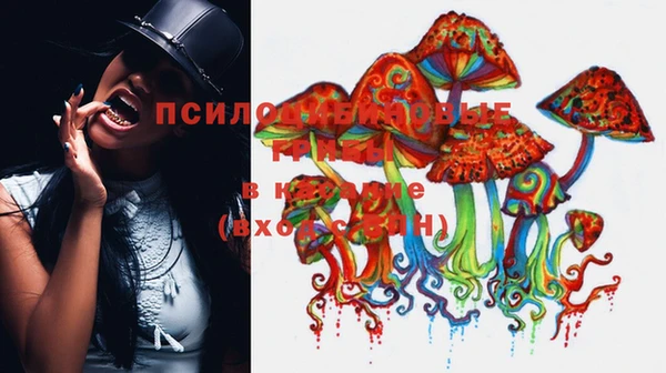 apvp Пересвет